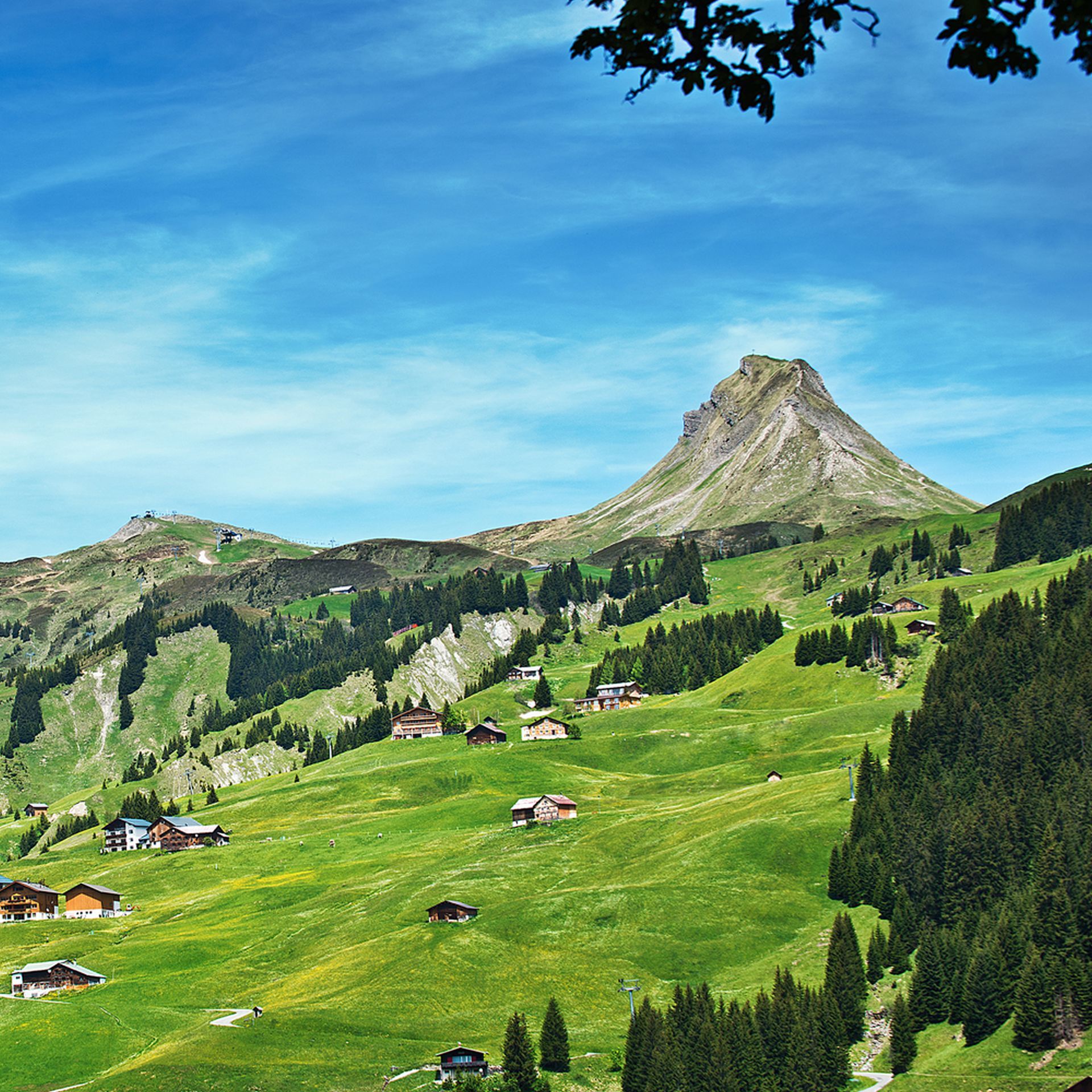 Wandern im Bregenzerwald - Hotel-Restaurant Alpenblume